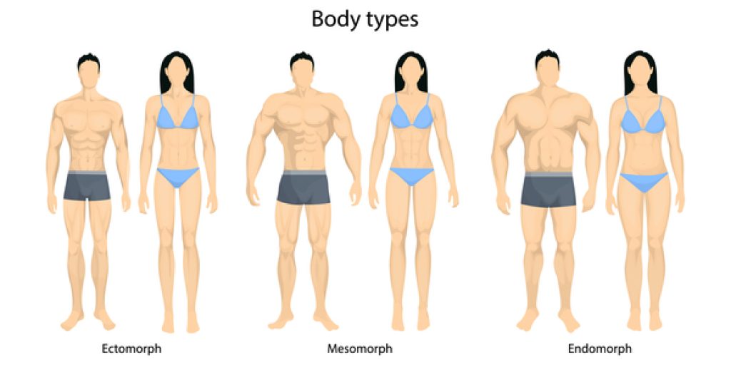Tipos de cuerpo humano endomorfo ectomorfo mesomorfo 2